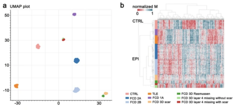 Paper published in Acta Neuropathologica Communications