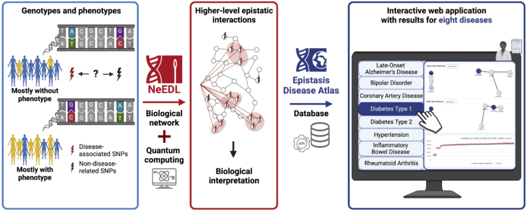 Paper published in Nucleic Acids Research