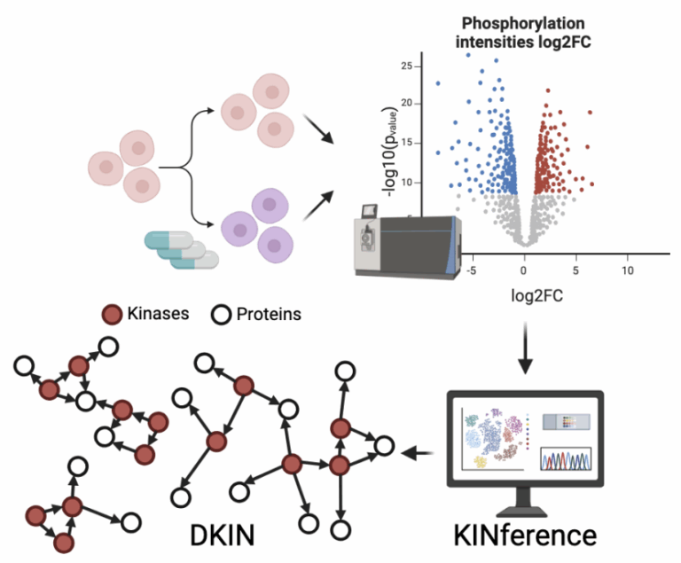 Paper published in Bioinformatics