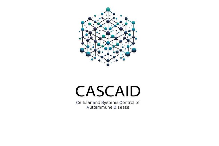 DFG funds CASCAID