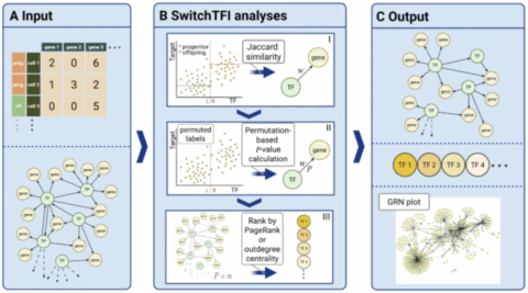 Towards entry "SwitchTFI"